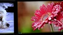 Microsoft: Windows 8 сможет порадовать обладателей нескольких мониторов
