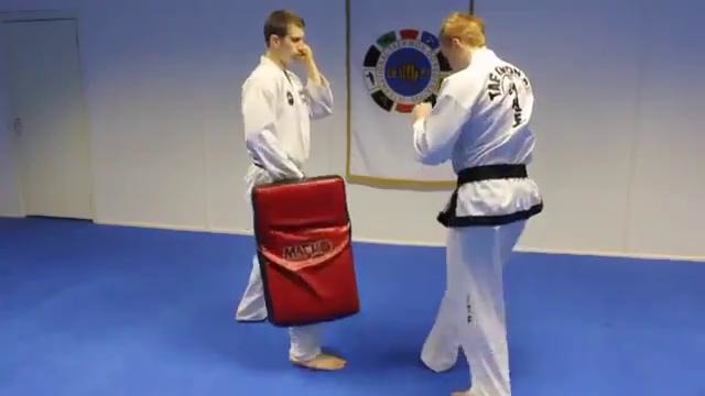Taekwondo Kicking Tutorials Promo (Ginger Ninja Trickster)