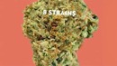 Leafs By Snoop Product Video