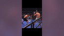 Джервонта Дэвис и его нокауты, это просто загляденье #Дэвис #boxing #top #davis