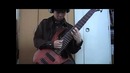 Viraemia – Pit of Pestilence (bass cover)