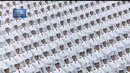 Две самые сильные армии мира, Россия и Китай