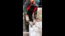 Не самый сообразительный рабочий
