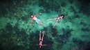 Shawn Mendes ft. Kygo & Alan Walker – Like You (Official Video by Trending Now)