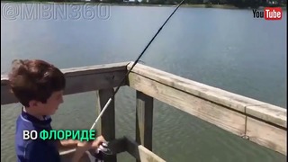 Во Флориде аллигатор украл у мальчика улов