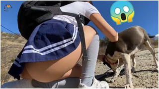 Can’t Stop Laughing: Hilarious Dogs Reaction Videos || Rebellious Animals