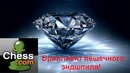 Шахматная тактика. Смотреть всем – Настоящий бриллиант
