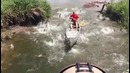 Сколько рыбы