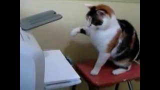 Мега Прикол – Кошка Vs Принтер
