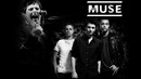 The History of Muse