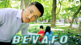 Bevafo | Ixlasow