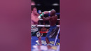 Профессионалы в своём деле. Больше здесь сказать нечего ? #top #boxing #Canelo #floydmayweather