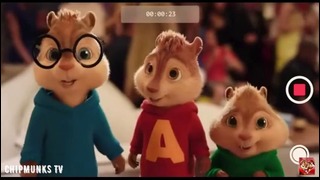Terry – Домофон Alvin and the Chipmunks