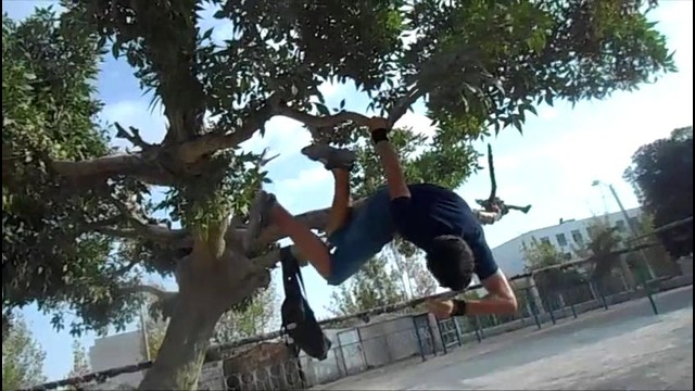 Gimbarr on the tree(джимбарр на дереве)