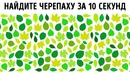 Простой тест, который поможет вам узнать, интроверт вы или нет