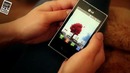 Видеообзор LG Optimus L3