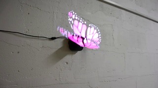 Holographic LED Fan Display