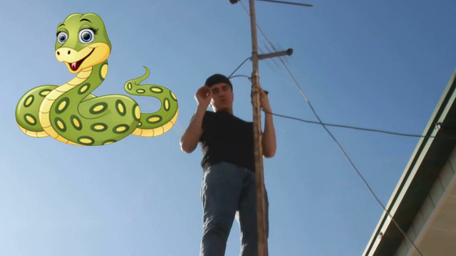 Shoxrux Piskent- Oying Kelgan