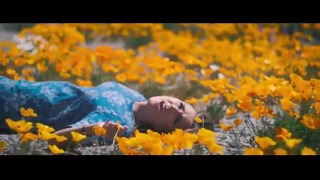 Gareth Emery ft. Wayward Daughter – Reckless (Denza Remix) (Official Video 2016)