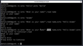 Shell Basics – echo and read – Linux Tutorial #1