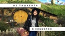 Из Ташкента в Хоббитон (Новая Зеландия)