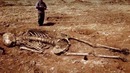 Кто ЖИЛ НА ЗЕМЛЕ 100 000 лет назад