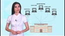 Open data – final ru