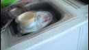 Новое пополнение