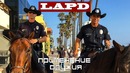 Брифинг LAPD Опасная бритва против резиновой дубинки
