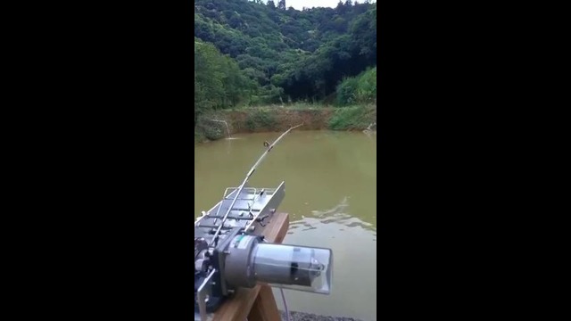 Автоматическая рыбалка