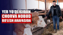 Pop tuman hokimi chorvadorni dardini tinglamayapti