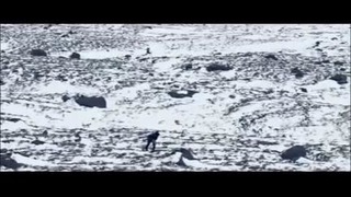 Foals – Spanish Sahara (Official Video)