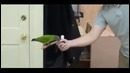 Это нереально