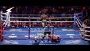 Deontay Wilder 2018 Highlights The Bronze Bomber