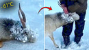 Animals That Asked People for Help | Random Acts of Kindness #4