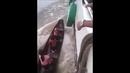Пиратки атакуют