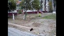 Parkour team «Bone»