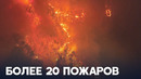 Южная Корея в огне: более 20 лесных пожаров и человеческие жертвы