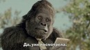 Цифровая Среда: 43-й выпуск
