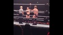 Finn Balor and Chris Jerico Funny Moment