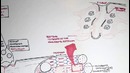 Myology – Skeletal Muscle Contraction / Механизм мышечного сокращения