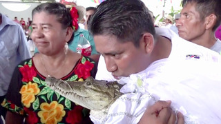 В Мексике мэр женился на крокодиле