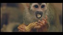 Milky Chance – Down by the River (480p)