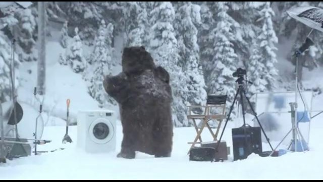 Медведь постирал шкуру в рекламе Samsung