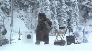 Медведь постирал шкуру в рекламе Samsung