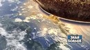 Что будет если астероид упадет на Землю