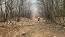 Triumph Tiger 900 Rally – Настоящий ВсеДорожник
