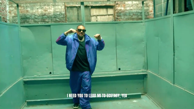 Sean Paul – Bring It (Visualizer)