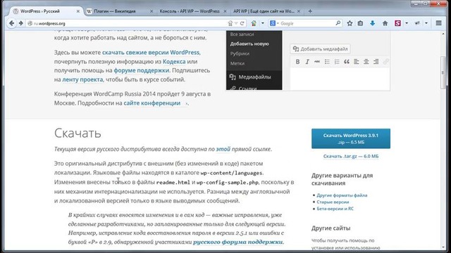 WordPress – профессионал. Организационные вопросы