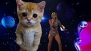 Miley Cyrus – Wrecking Ball (2013 AMAs)